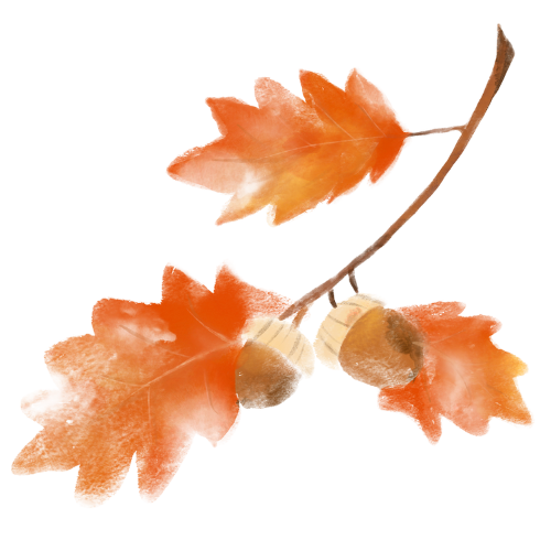 otoño servicios