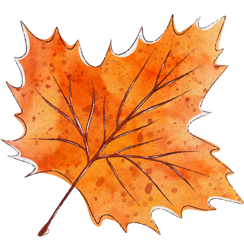 hoja otoño