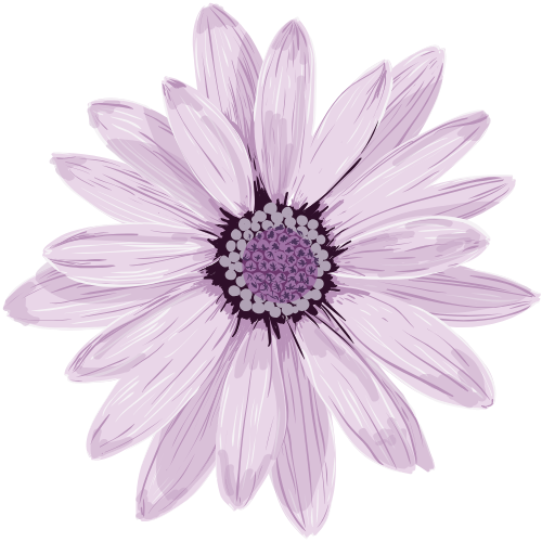 flor primavera